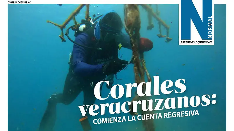 Corales veracruzanos SITIO1